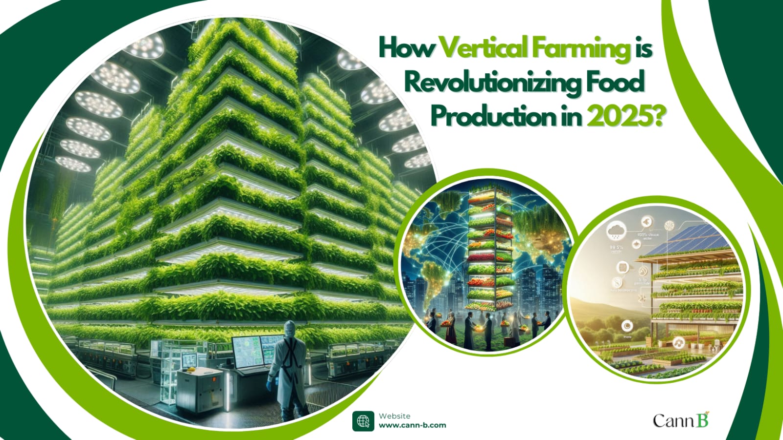 How Vertical Farming is going to Revolutionize Food Production in 2025?