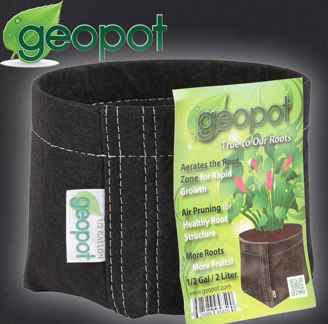 GEOPOTSELFSUPPORTING