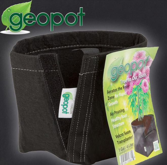 GEOPOTVELCROSEAMTRANSPLANTERS