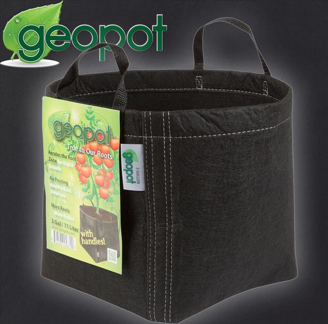 GEOPOT WITH HANDLES