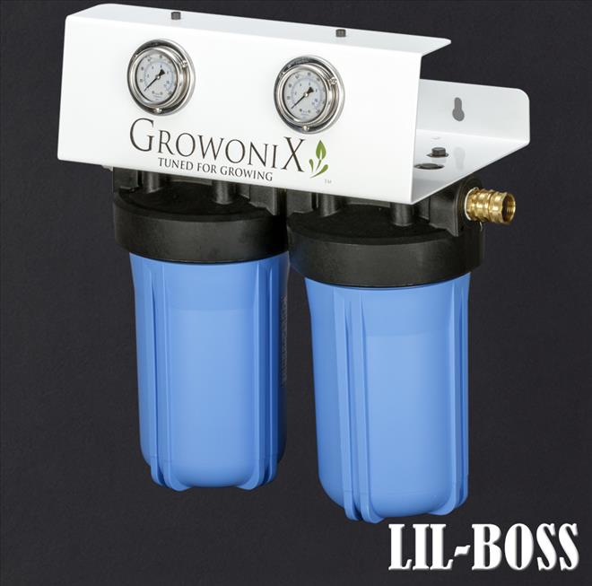 GROWONIX. LIL' BOSS