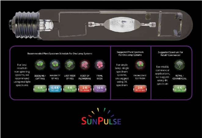 SUNPULSE BULBS