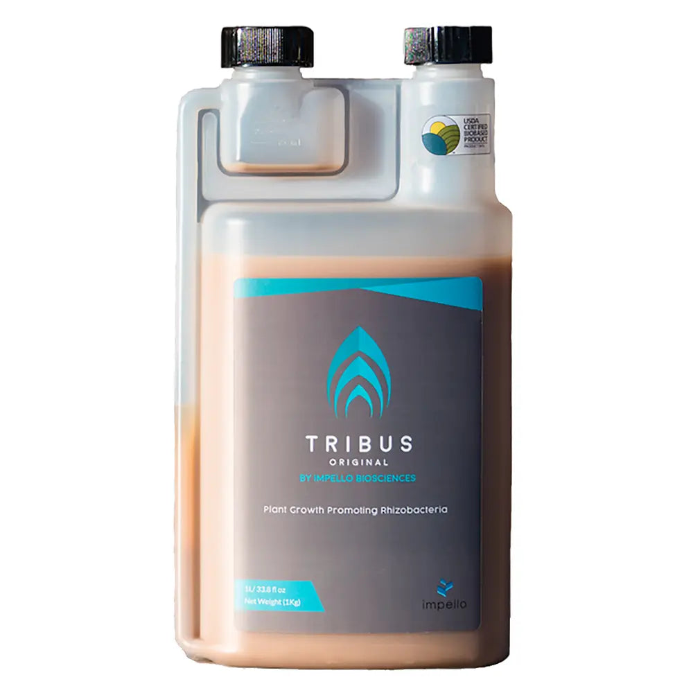 Tribus Original